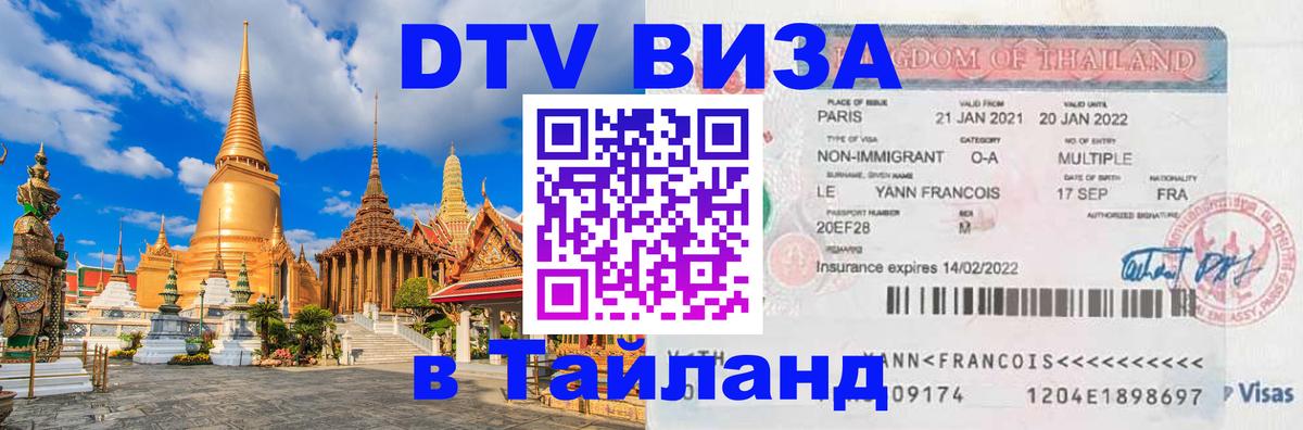 Оформление DTV визы под ключ: стоимость и тарифы, только загранпаспорт - Саранск 